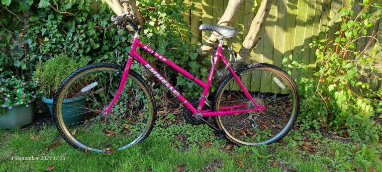 Retro Pink Emmelle Aurora Mountain Bike – 18 Speed