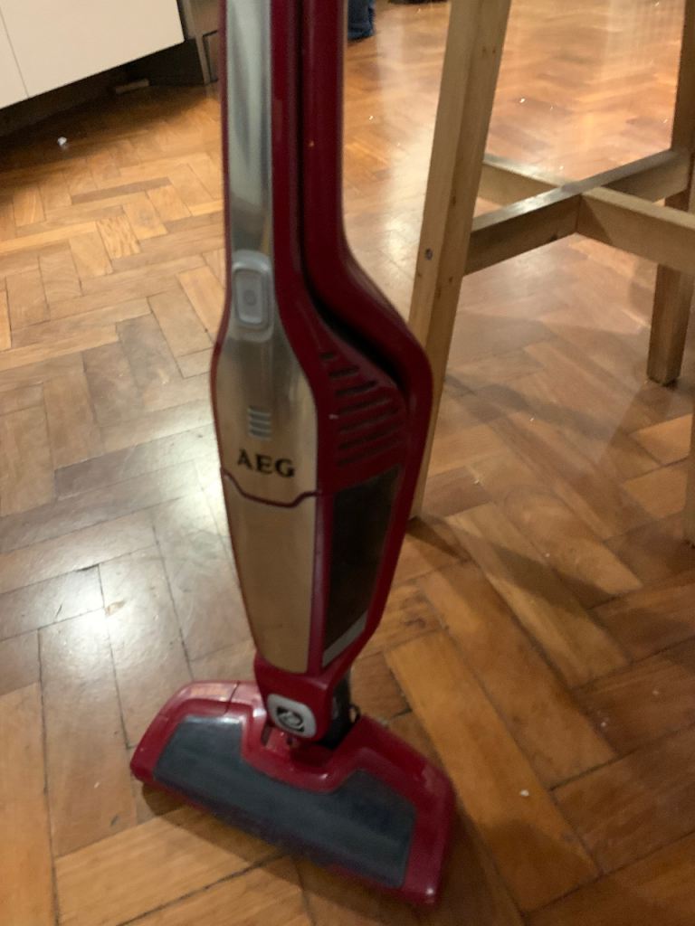 AEG Ergorapido Lithium