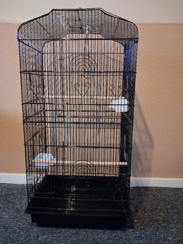 Budge .cockateal cage