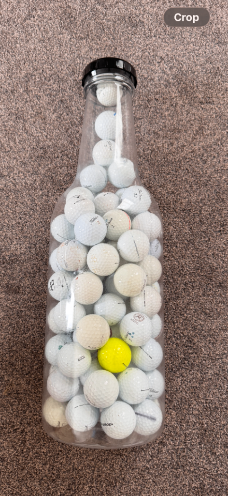Titleist ProV1 practice balls