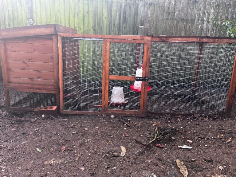 3x chickens plus chicken coop