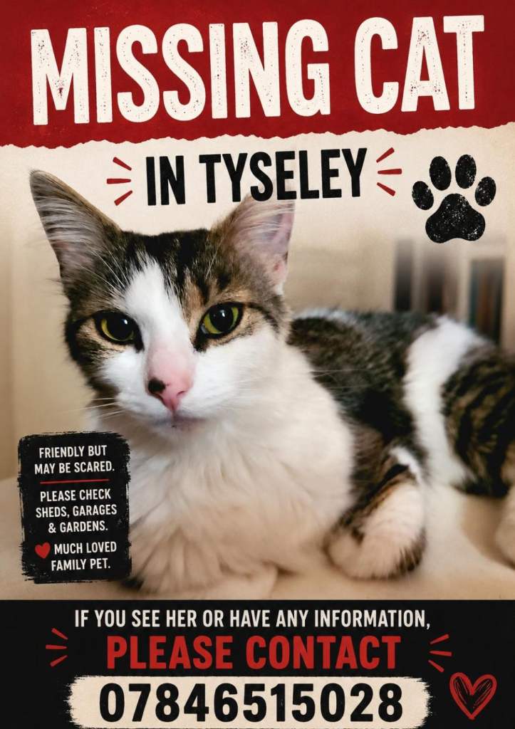 LOST CAT - Last seen in Tysley 