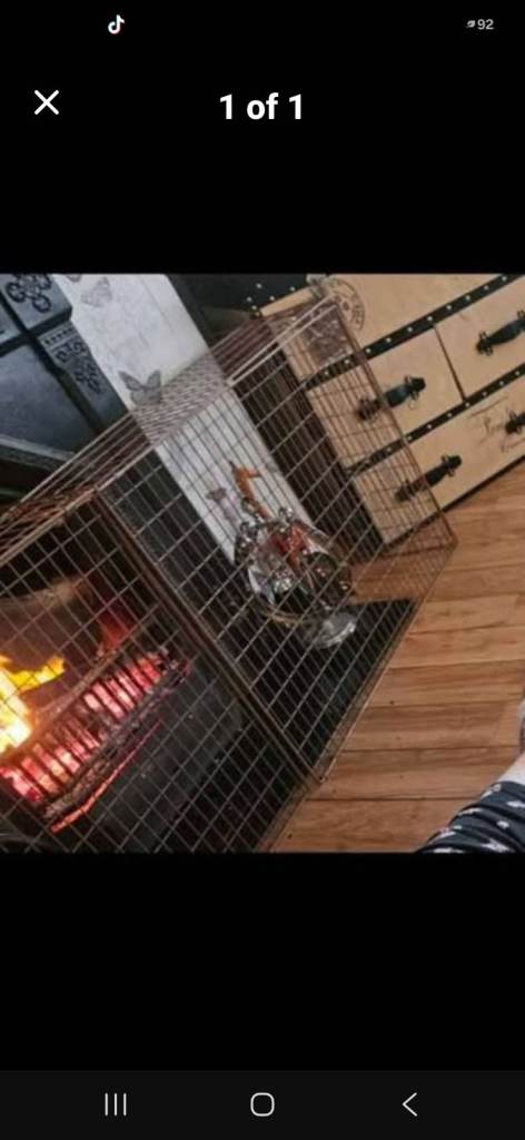 Fire guard