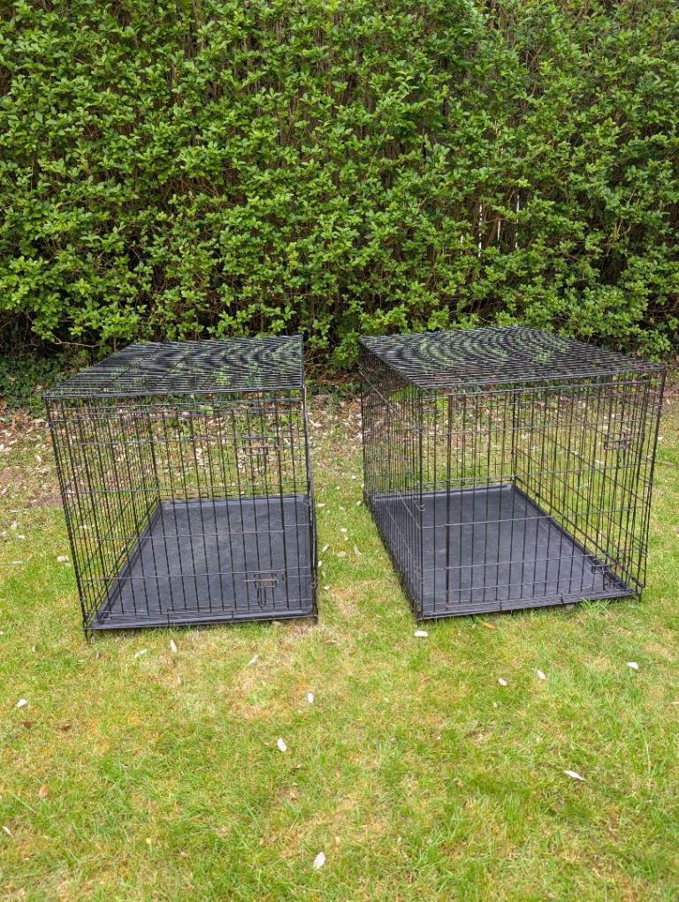 Two Collapsible Extra Large Dog Crates