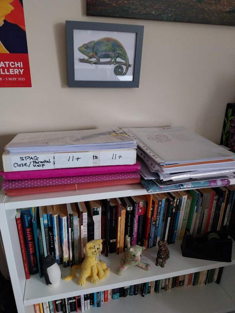 Teaching resources including SATS & 11+