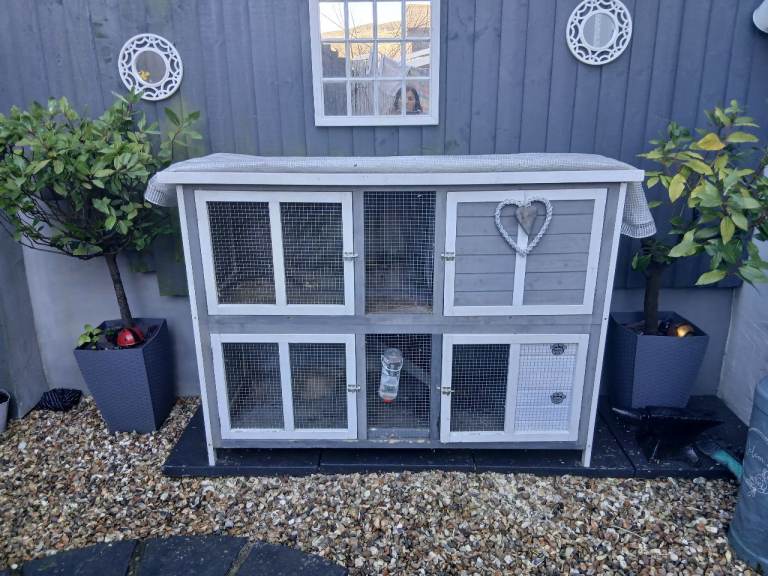 Rabbit Hutch