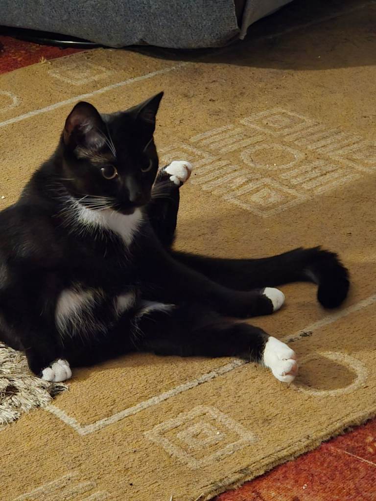 Rehome 