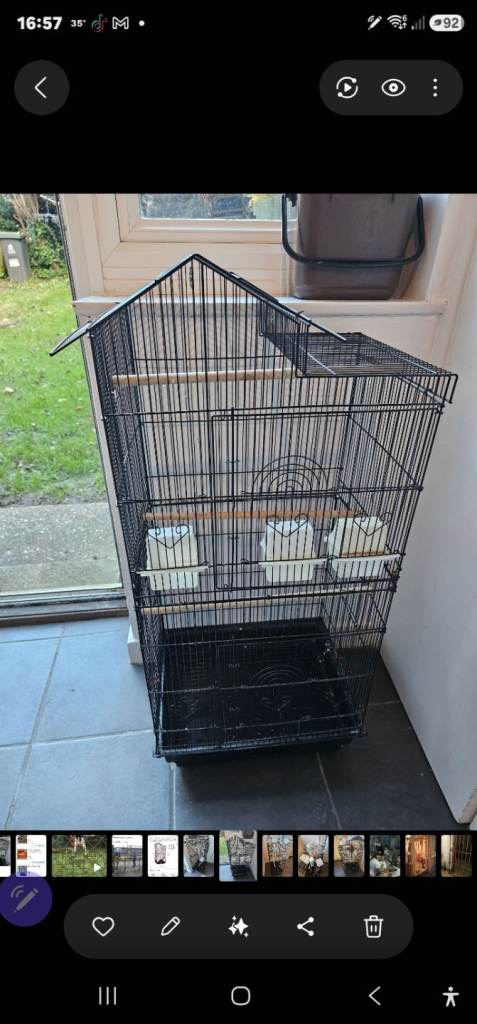 Birds Cage 🐦 