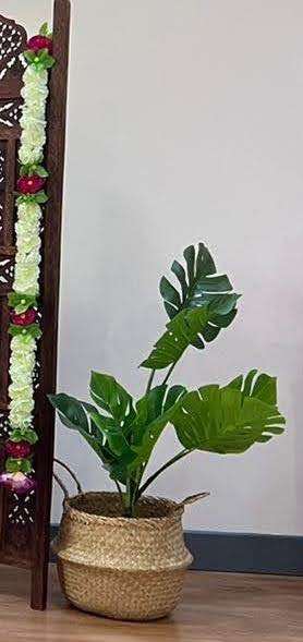 2 x Artificial Cheese Plants and Wicket Baskets - Collection only, GG, Crawley