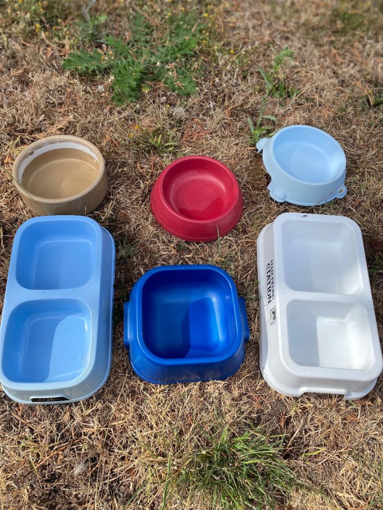Collection of cat bowls Free!