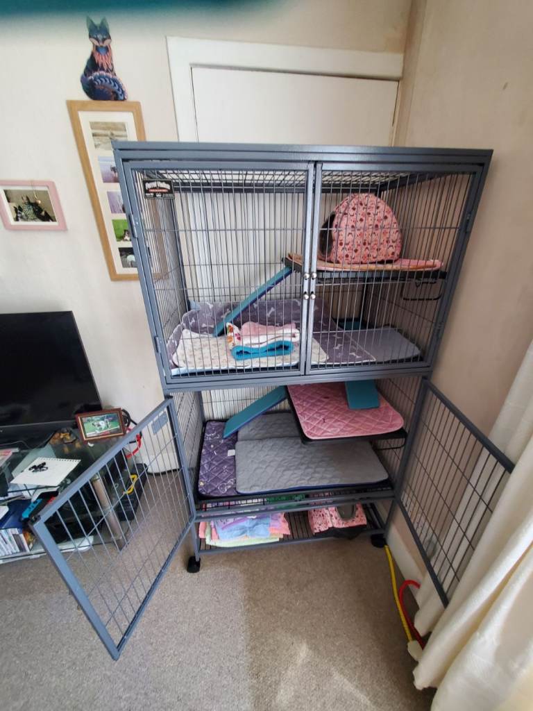 Ferret nation cage