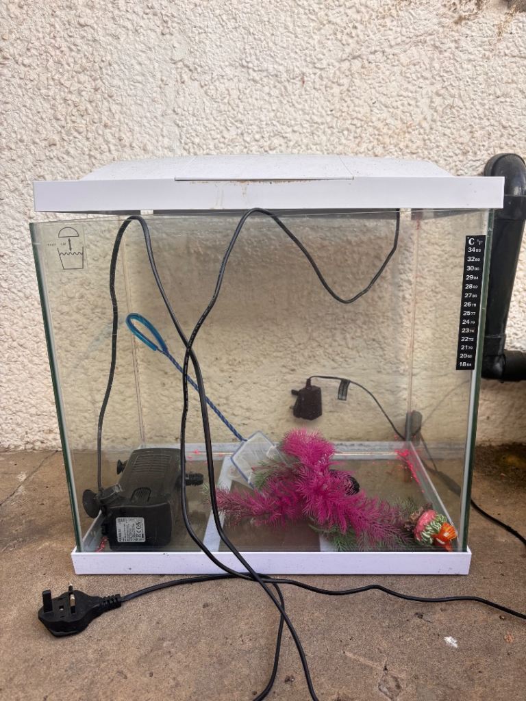 Fish tank 