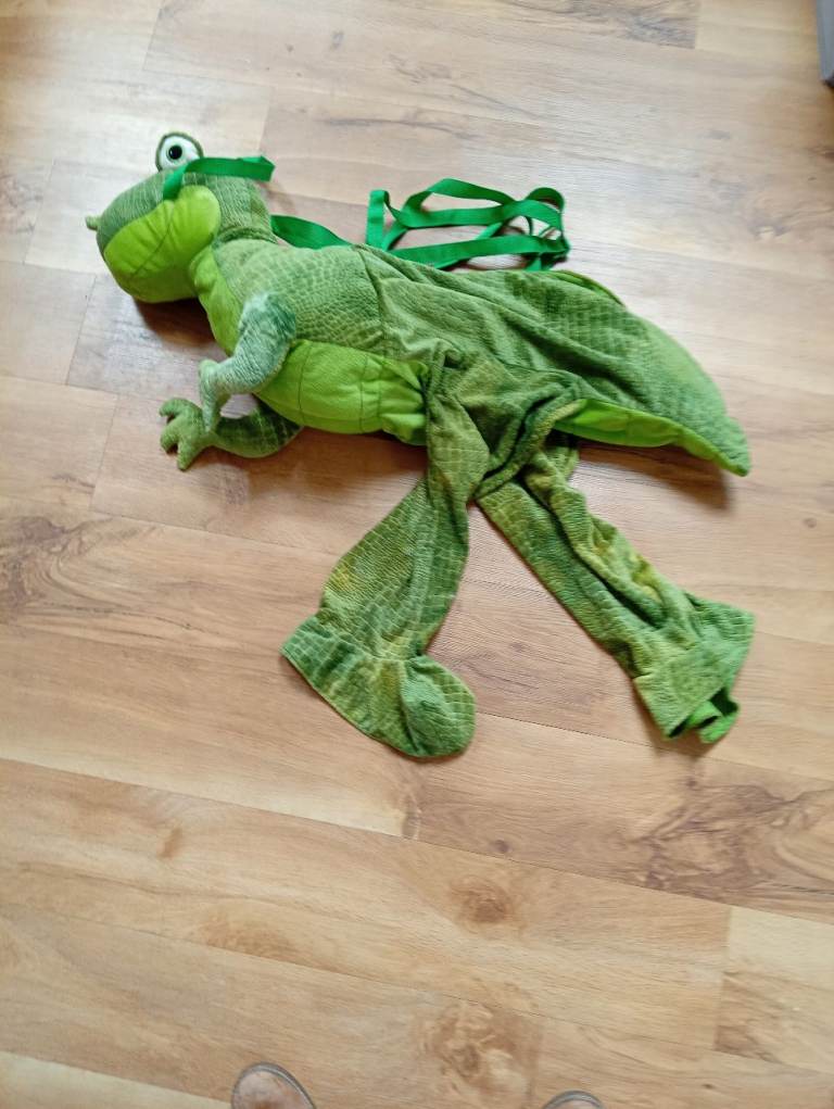 Dinosaur outfit