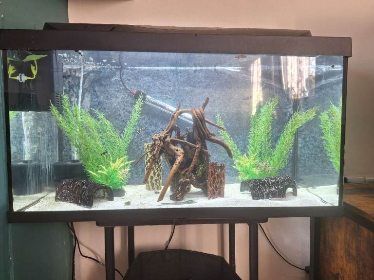 Fish Tank Aquarium – Full Setup, Good Condition