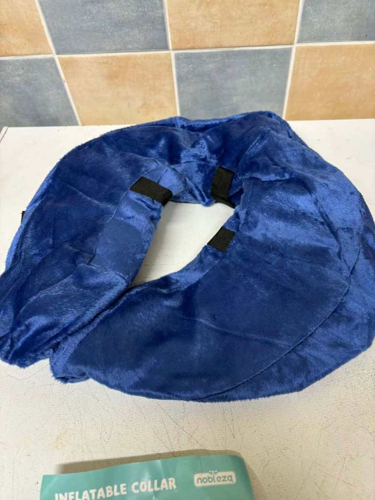 Dog Inflatable Collar