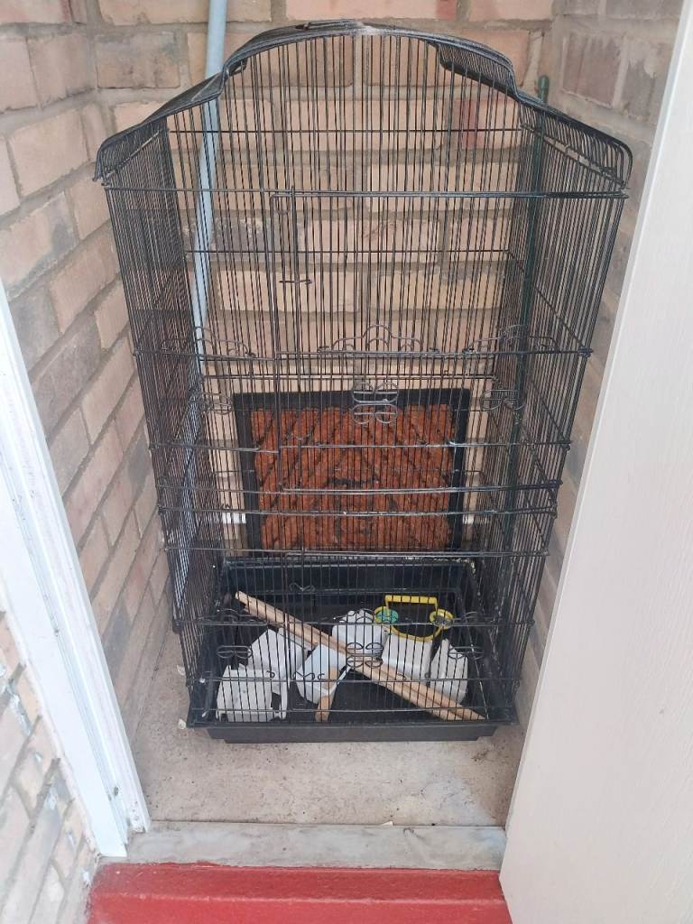 Gd size bird cage 