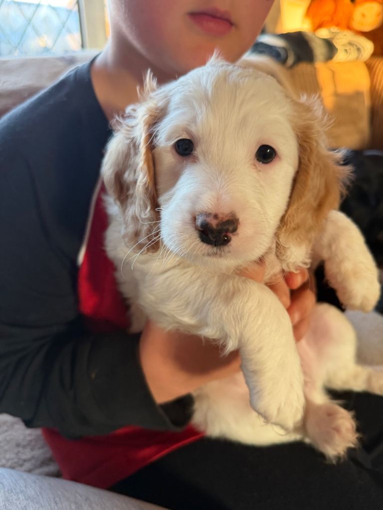 Last little boy ! 😍😍