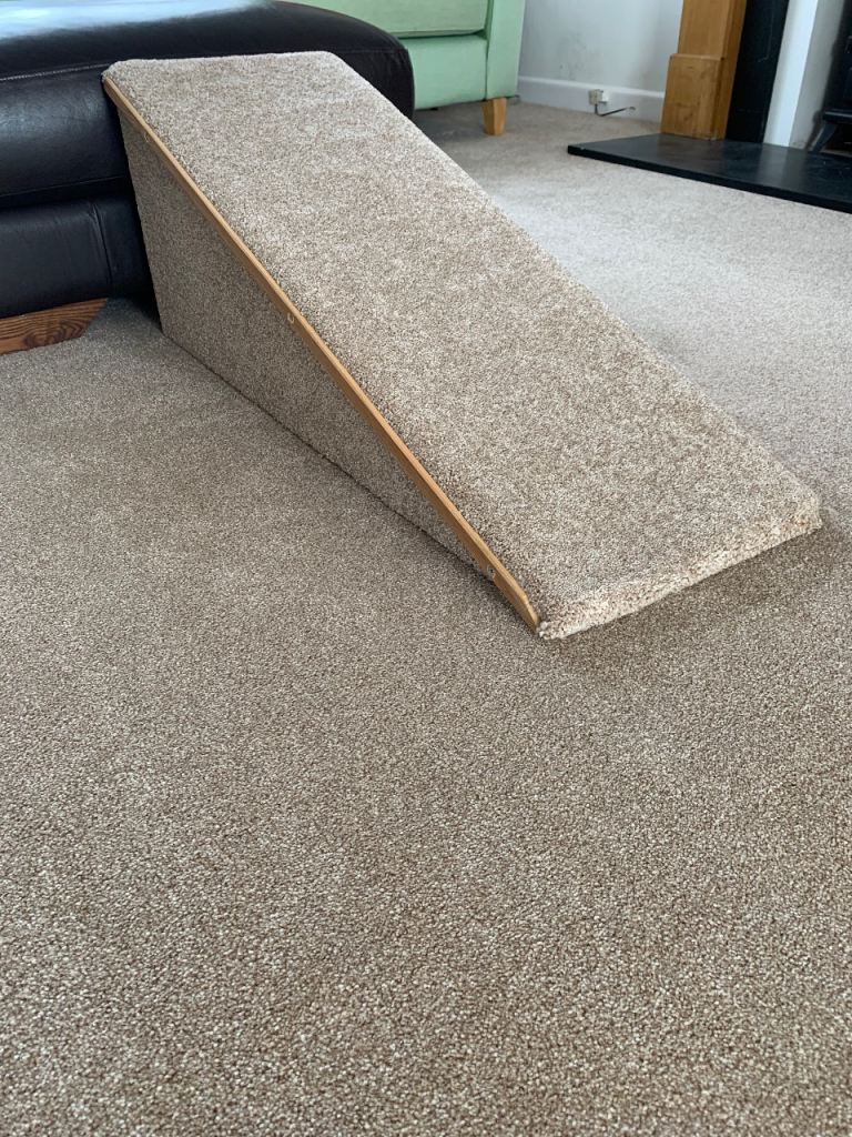 Strong Carpeted Wide Pet Ramp