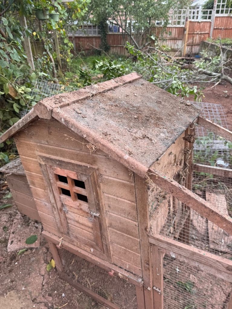 Chicken coup and hutch 