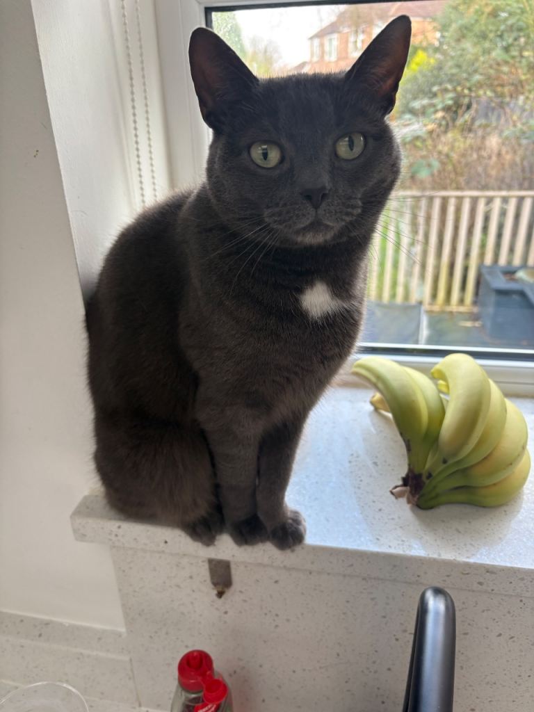 Ruby (6yrs old) 