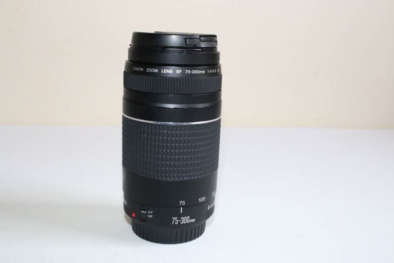Canon EF 75-300mm  f/4-5.6 II  Telephoto Zoom Lens