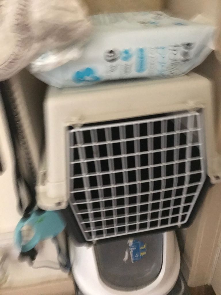 Cat carrier for sale 