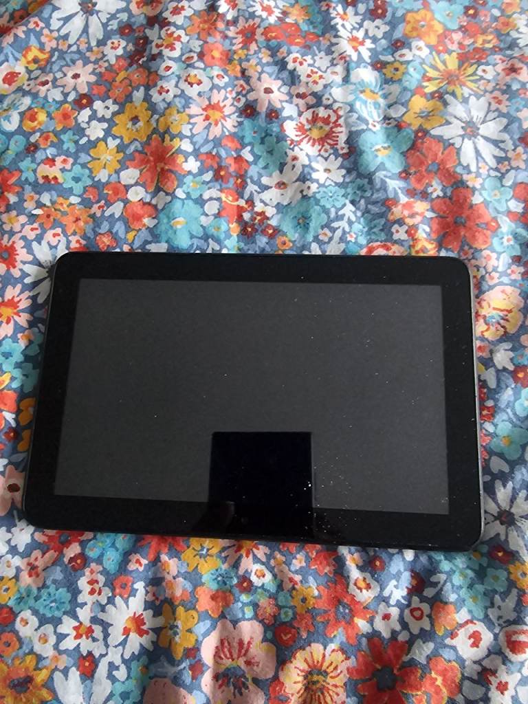 Amazon fire kids tablet