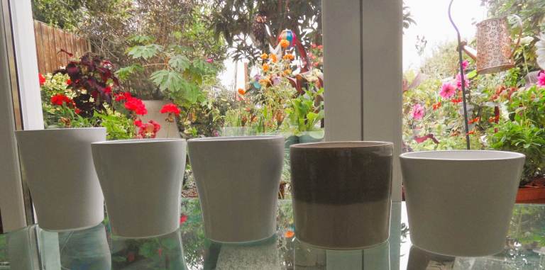 image for 5 indoor ceramic plant pots