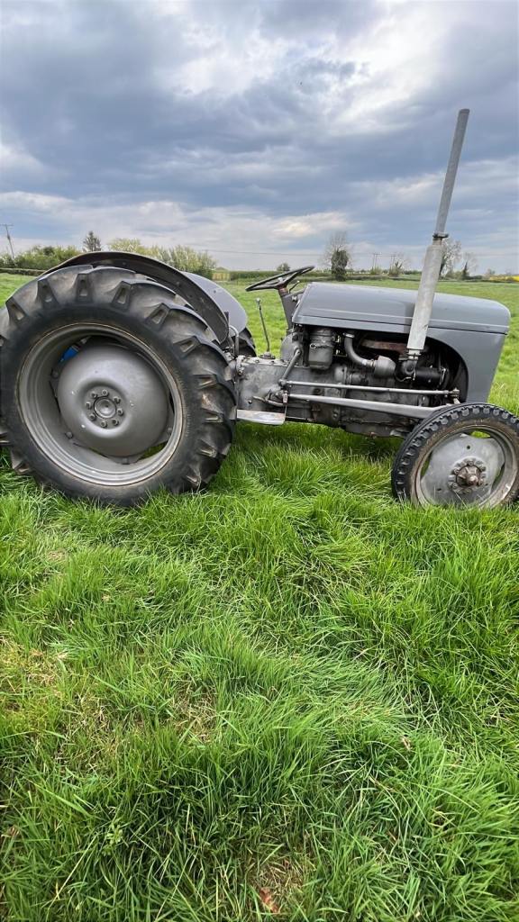 1955 Ferguson TEF 20 Diesel | Good Tins & Tyres | Dry Stored | V5 Present