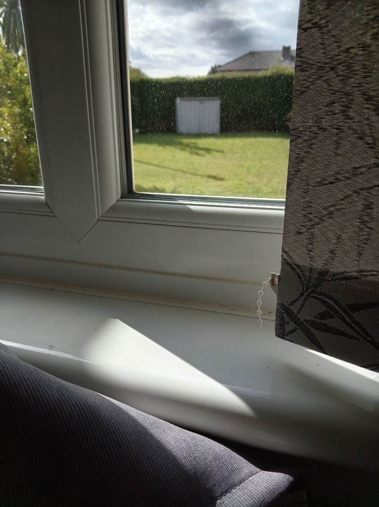 Single bedroom to rent short term August festival