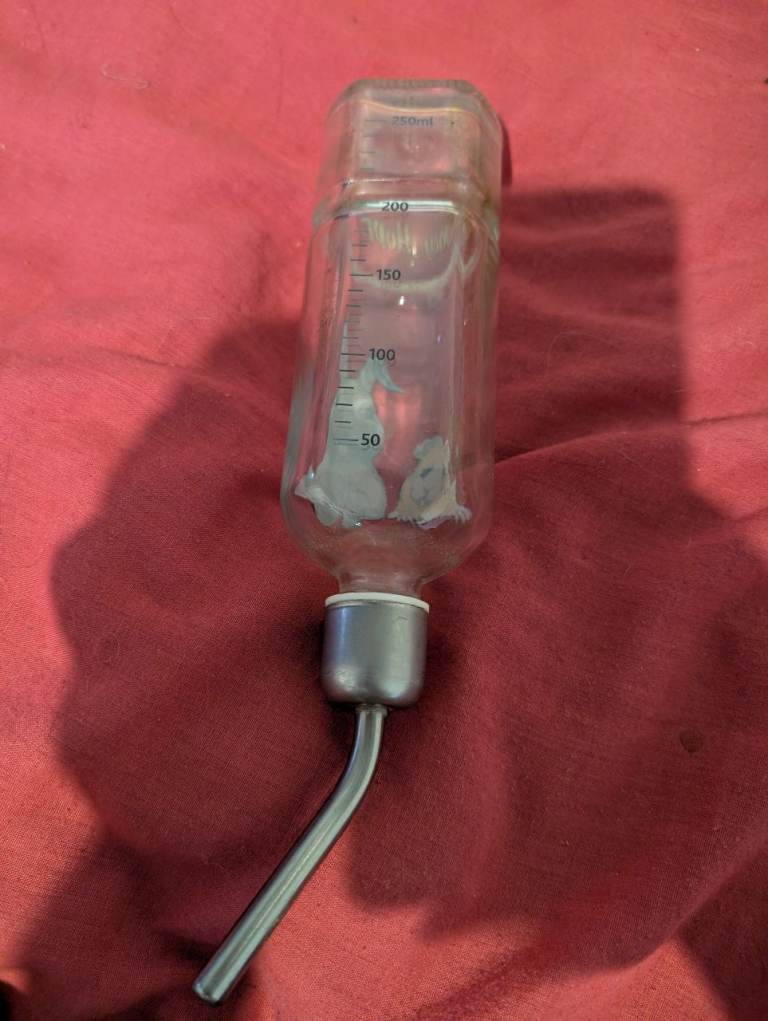 Glass small hopper water bottle 