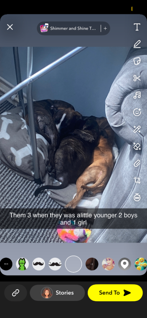 Puppies ready to leave very cheap and only to good homes 