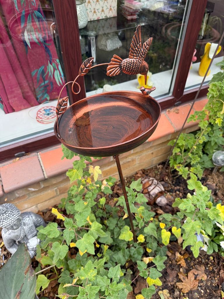 Garden stuff week old 20 each 