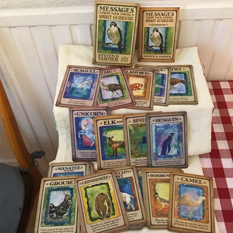Tarot/oracle cards ‘messages from your animal’ by Steven D Cooper