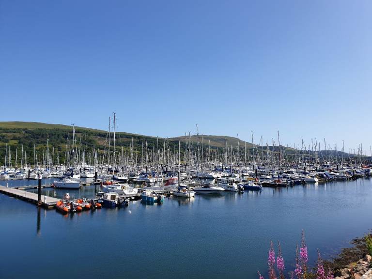 Hardy Family Pilot 20