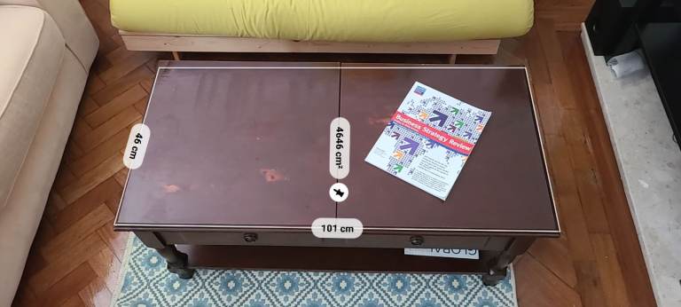 Coffee Table with Character 100x50cm (SE23)