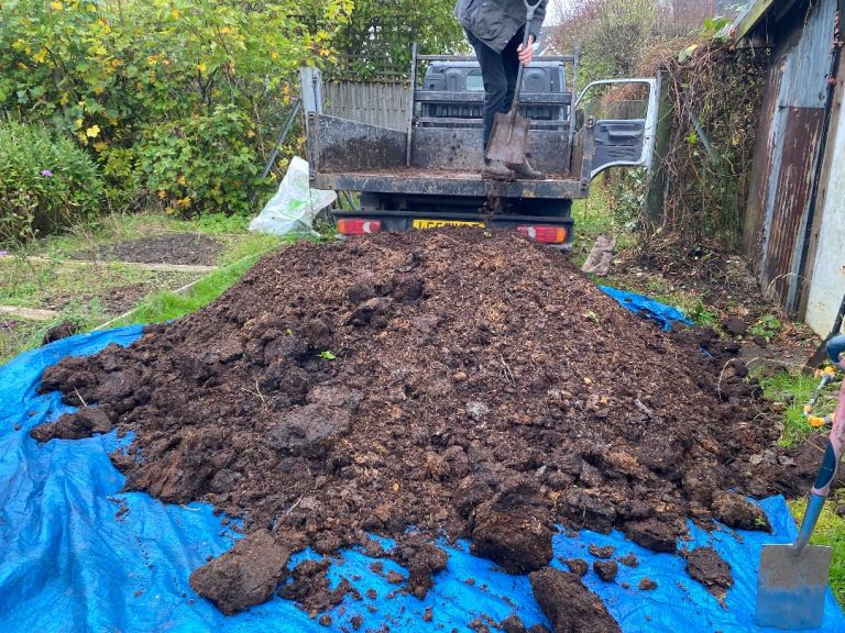 Composted manure 