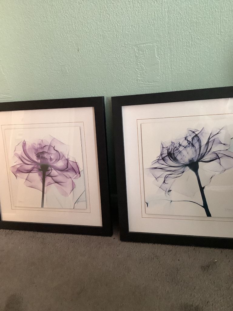 2 framed Albert Koetsier X-ray floral prints. 19x19 inches. 