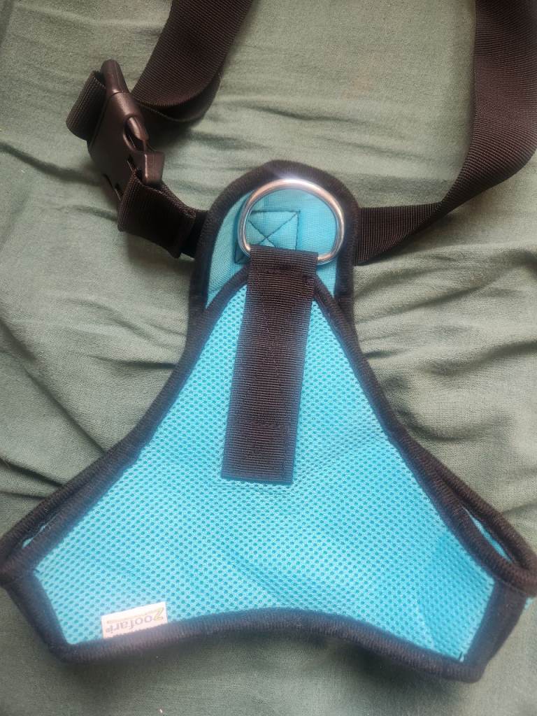 Dog harness 