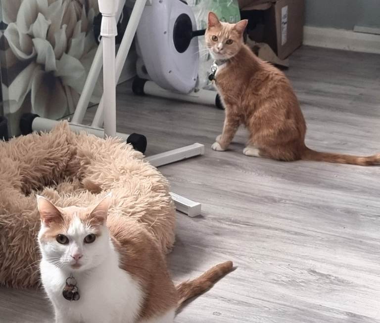Gorgeous boys 