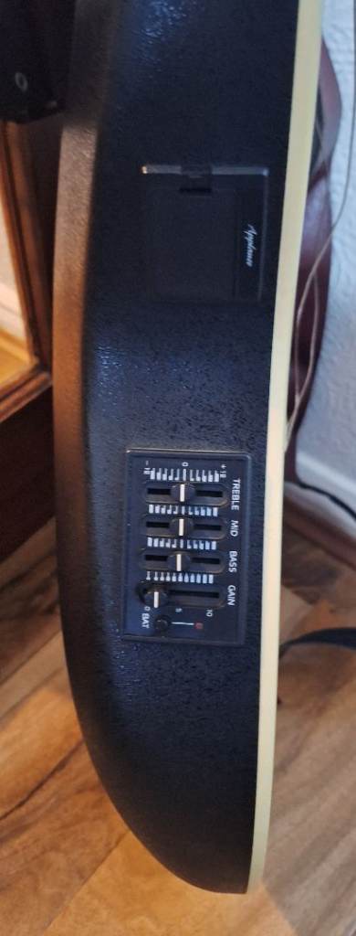 Electric/acoustic guitar, model AE138. Approx 20 years old. with hard case