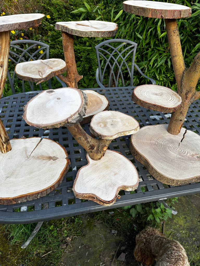Rustic log cake stands plant display wedding decorations 