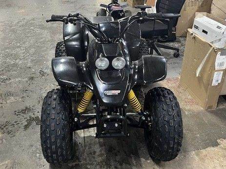 Quadzilla r100 Junior ATV quad bike