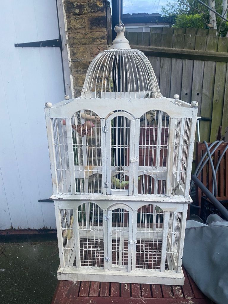 Bird cage