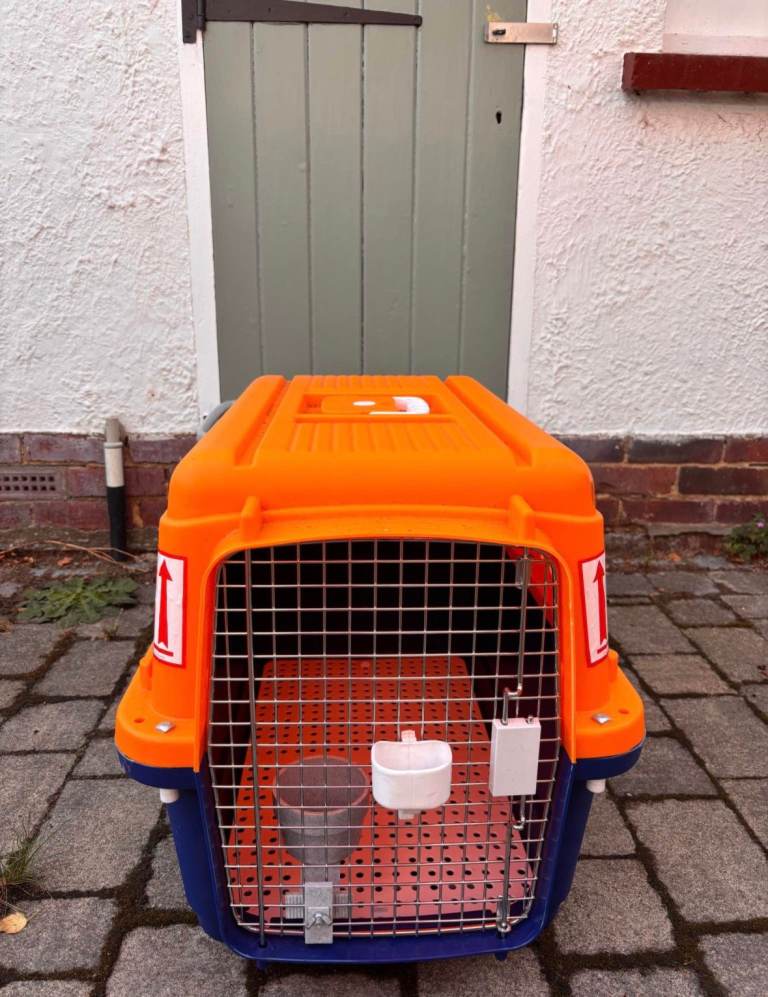 Pet Carrier -  two available, suitable for cats and small dogs, international travel approved size