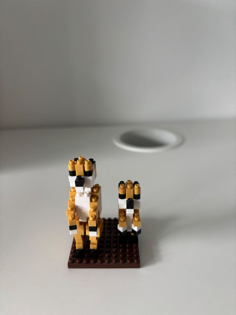 Nanoblock Meerkat Set