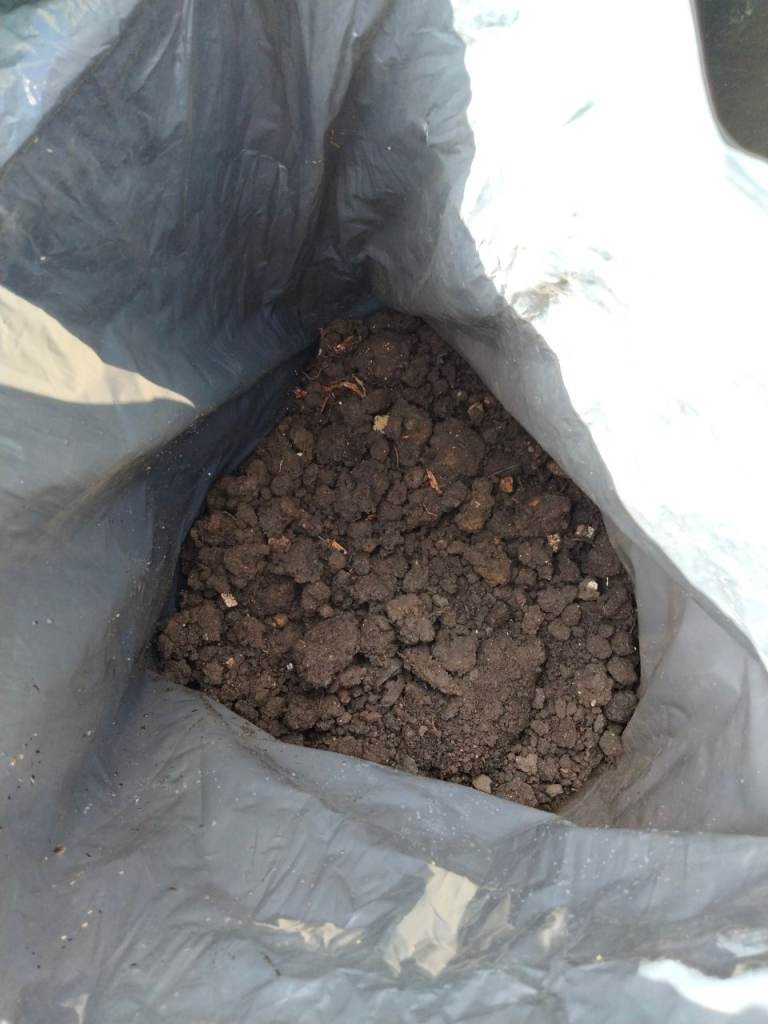 Soil 