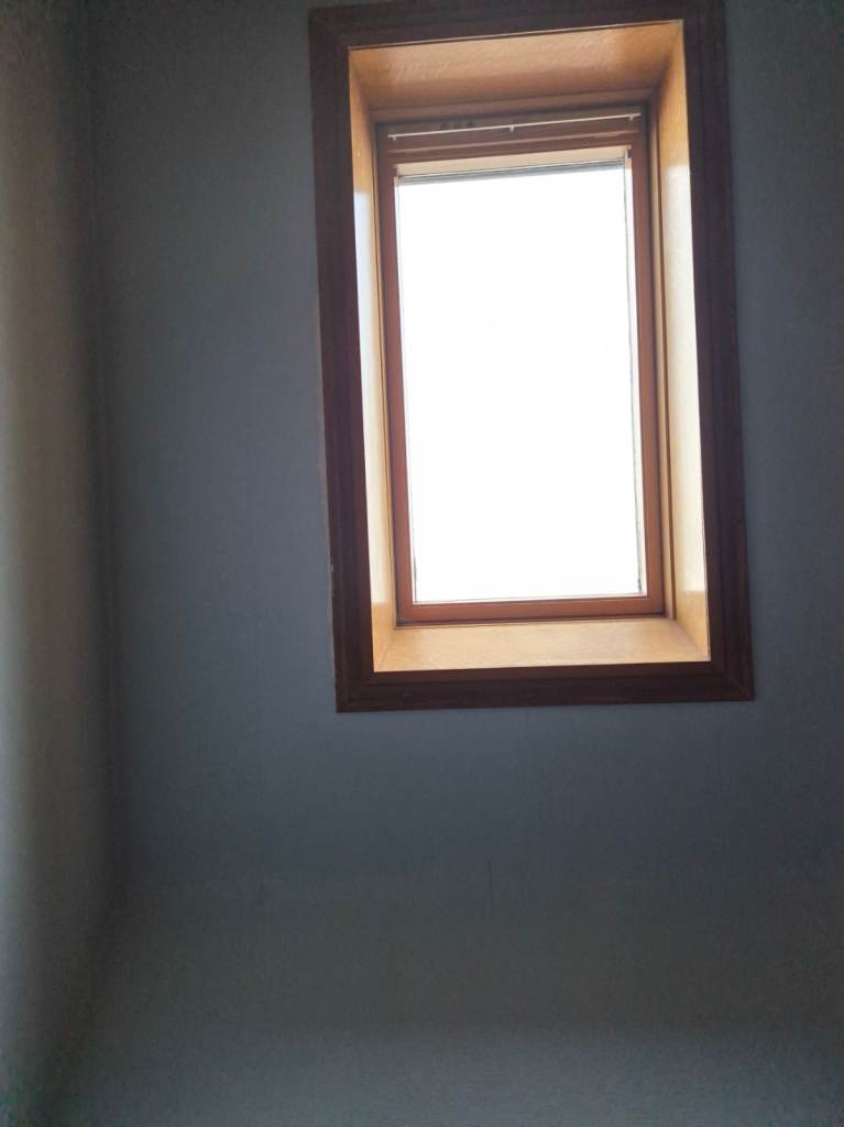 Wanted Velux window