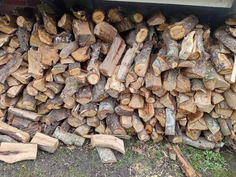 Seasoned hardwood logs
