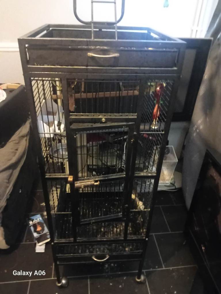 large bird cage